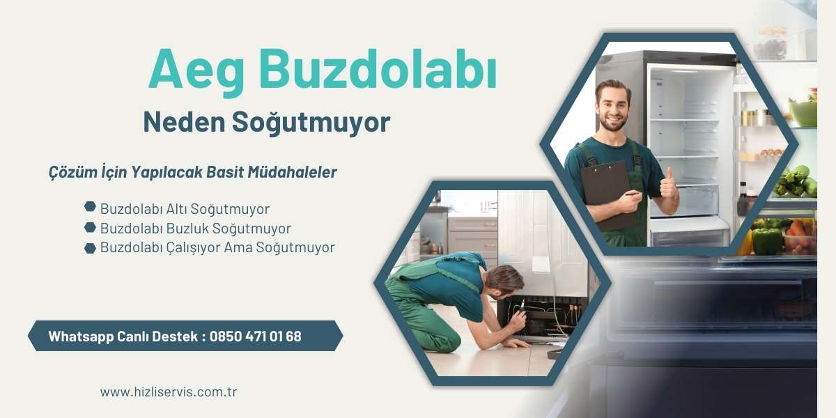 Aeg Buzdolabı Neden Soğutmuyor