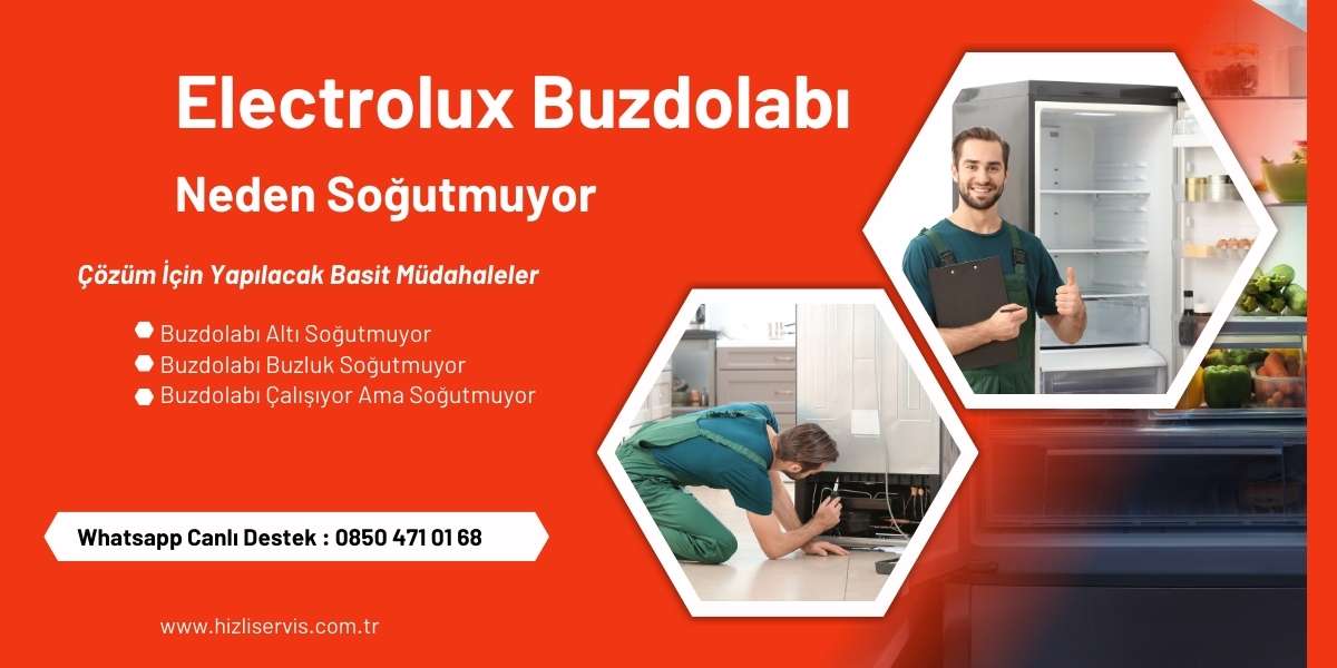 Electrolux Buzdolabı Neden Soğutmuyor