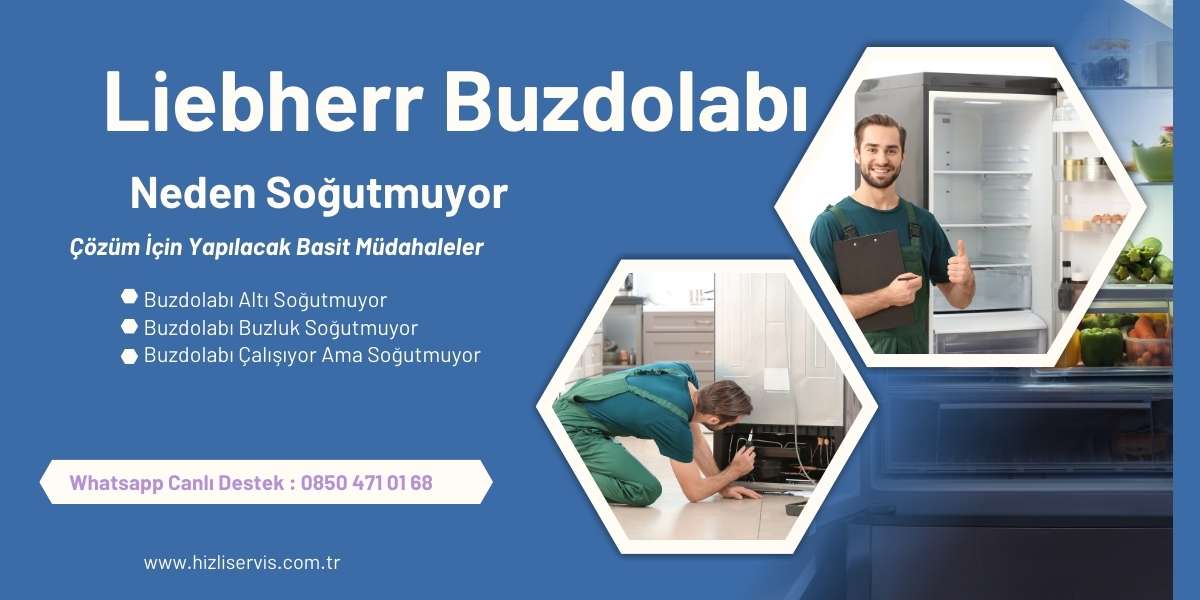 Liebherr Buzdolabı Neden Soğutmuyor