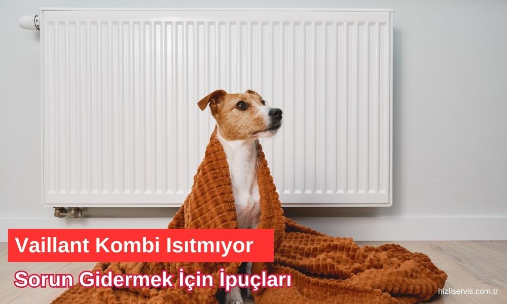 Vaillant Kombi Isıtmıyor